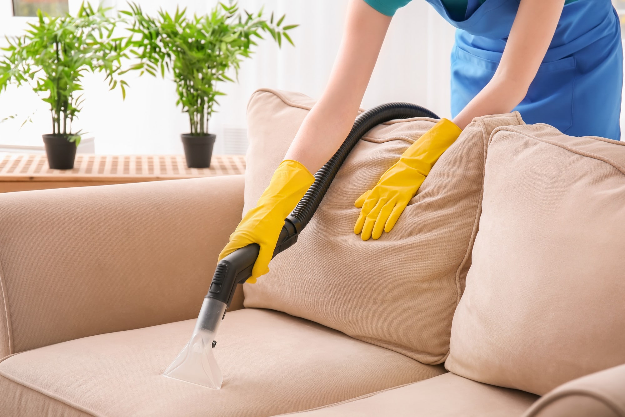 a lady cleaning a couch